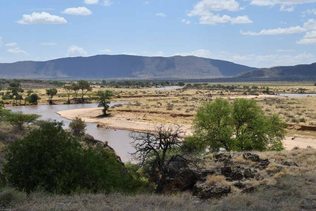 Buffalo Springs Nat. Reserve